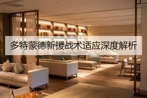 多特蒙德新援战术适应深度解析